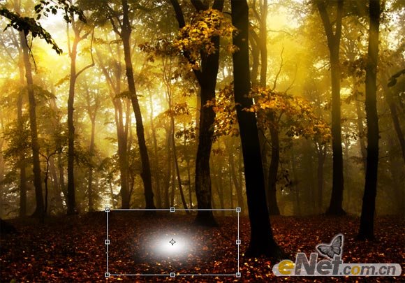 使用PS的HDR色調來調出一個夢幻的森林場景