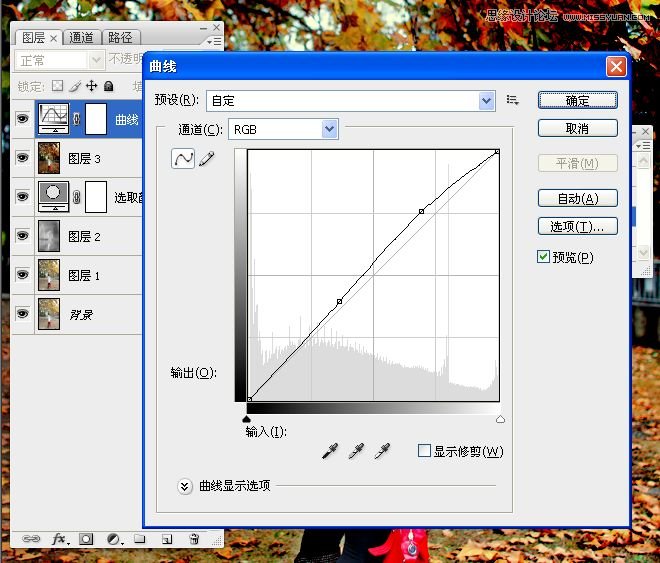 Photoshop調出公園下美女秋季金黃色調,三聯