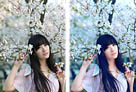 Photoshop給櫻花中的美女照片增加粉嫩的蜜糖色 三聯教程
