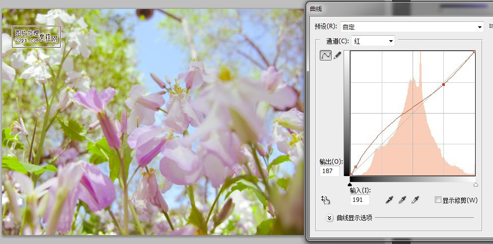 按此在新窗口浏覽圖片