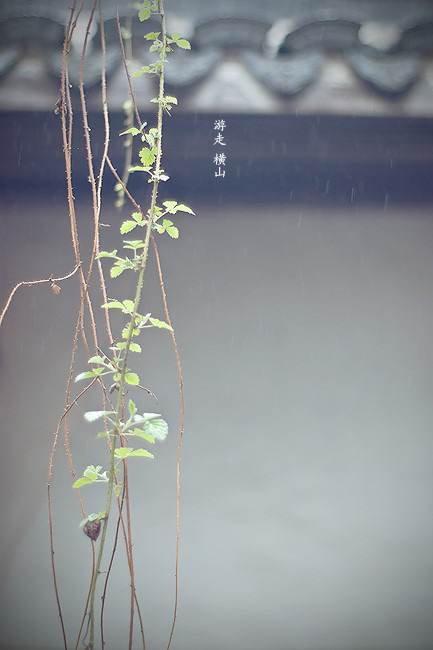 按此在新窗口浏覽圖片