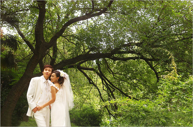 Photoshop調出樹林婚片溫馨的橙褐色 數碼後期教程