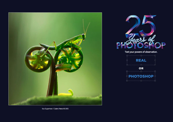 Photoshop 25周年慶專題