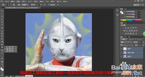 photoshop把可愛的動物變成奧特曼教程