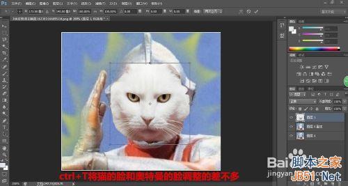 photoshop把可愛的動物變成奧特曼教程