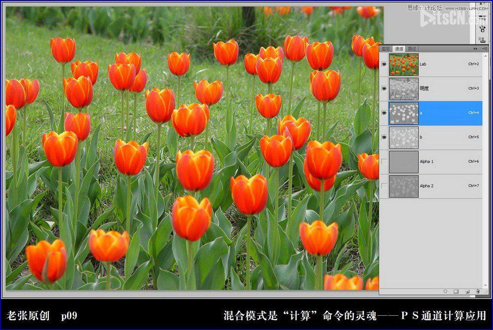 Photoshop利用計算命令計算出精確選區調整圖片顏色