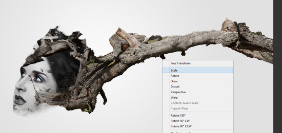 3支550x260創建於樹照片處理Photoshop中被困