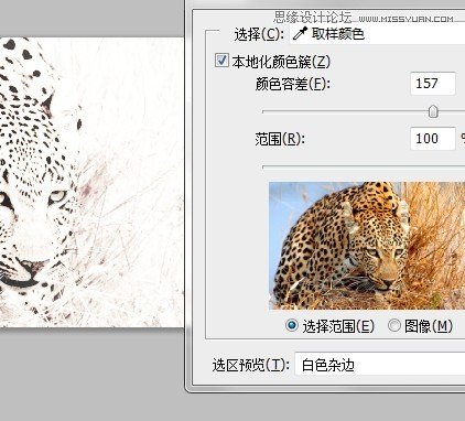 Photoshop制作逼真的豹紋花型圖案教程,PS教程,思緣教程網