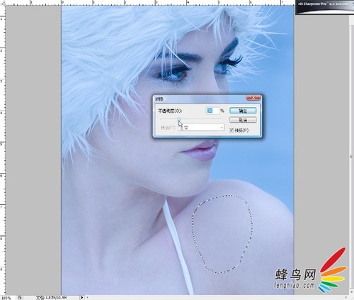 Adobe Photoshop CS3肖像修飾技巧之一高調人像