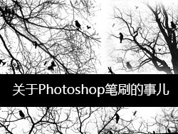 關於Photoshop筆刷的事兒 三聯