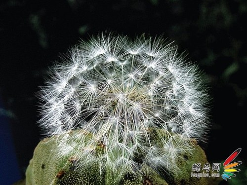 跳出黑白天地寬