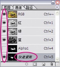 通道、選區與蒙版