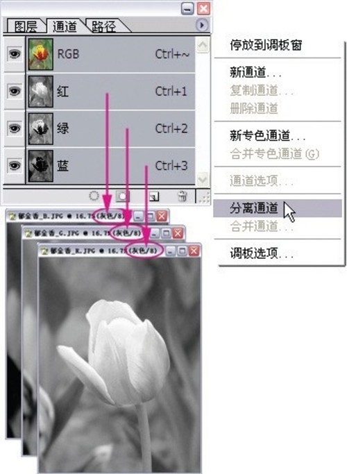 選擇的藝術 從入門到精通深度剖析PS通道