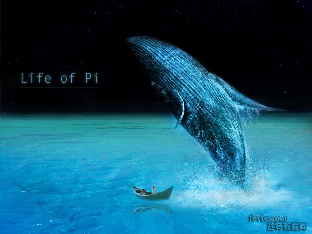 少年派life of pi 高清壁紙制作 三聯