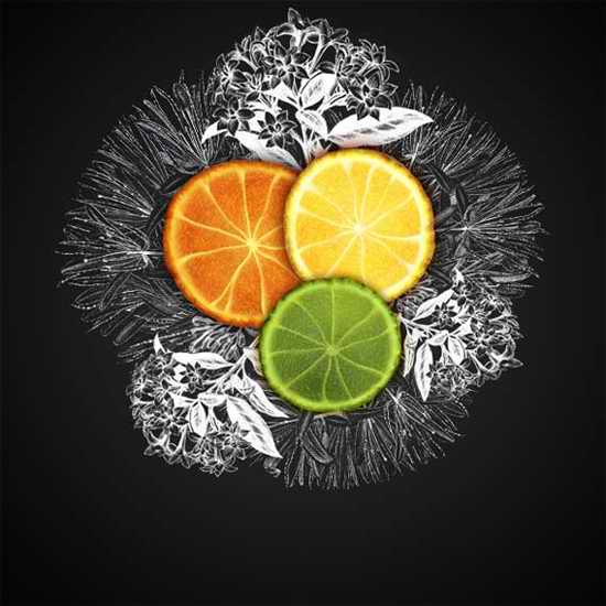 Photoshop制作三色的橙子海報