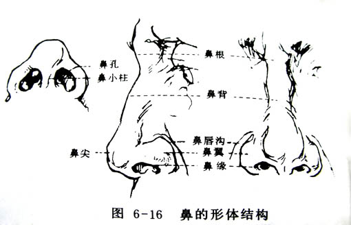 img201007271409150 Photoshop鼠繪漂亮的金發美女模特