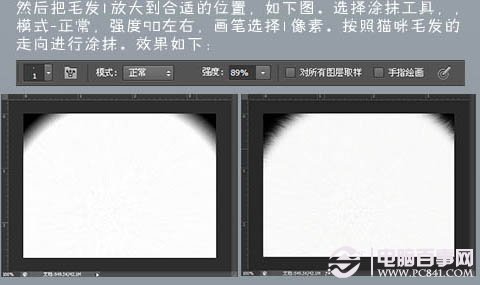 photoshop 鼠繪神態憨厚的小白貓頭像 電腦百事網