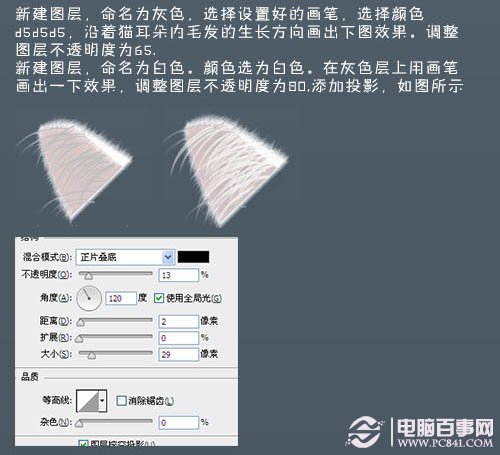 photoshop 鼠繪神態憨厚的小白貓頭像 電腦百事網