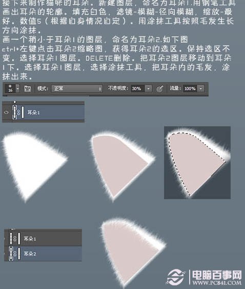 photoshop 鼠繪神態憨厚的小白貓頭像 電腦百事網