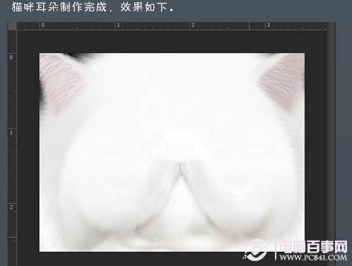 photoshop 鼠繪神態憨厚的小白貓頭像 電腦百事網