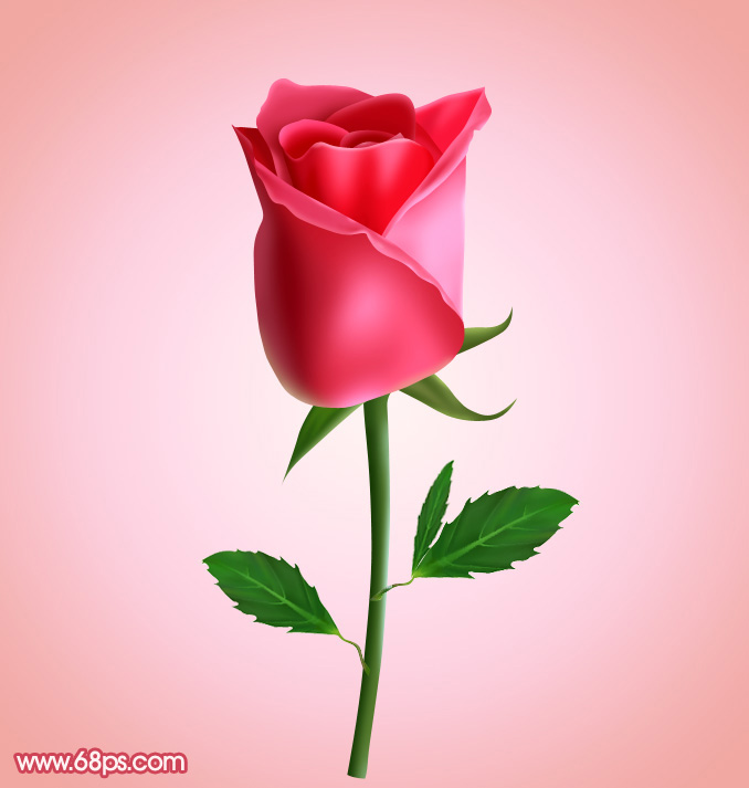 Photoshop繪制一朵含苞欲放的紅玫瑰教程 三聯教程