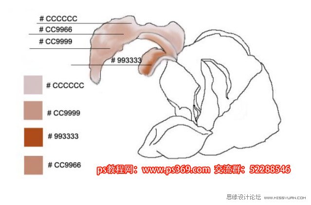 Photoshop繪制母親節康乃馨教程,PS教程,思緣教程網