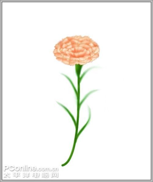 用Photoshop鼠繪一支康乃馨