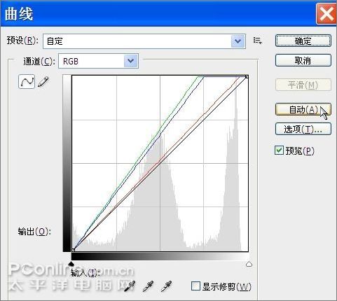 用Photoshop鼠繪一支康乃馨