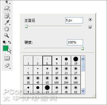 用Photoshop鼠繪一支康乃馨