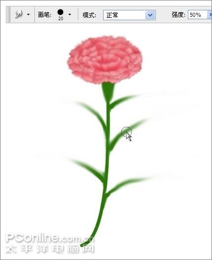 用Photoshop鼠繪一支康乃馨