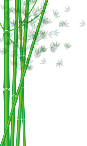 PhotoShop繪制綠色的竹子教程 三聯