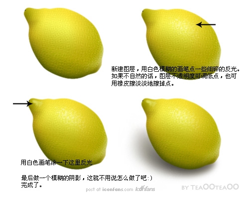 lemon07.jpg