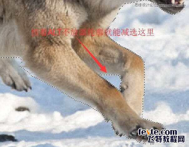 Photoshop合成從冰雪中沖出的狼特效,PS教程,素材中國