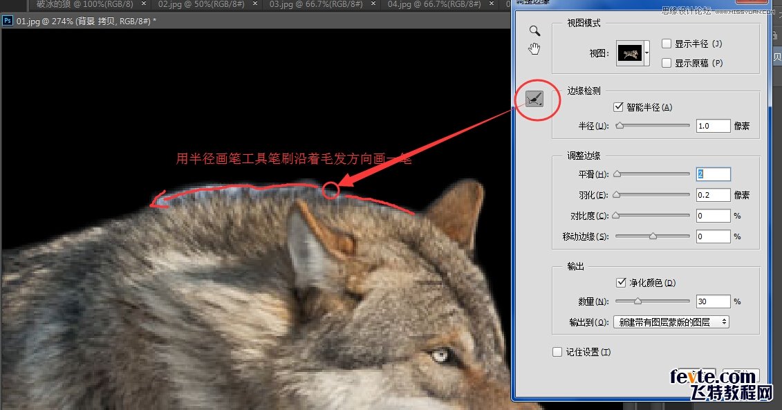 Photoshop合成從冰雪中沖出的狼特效,PS教程,素材中國