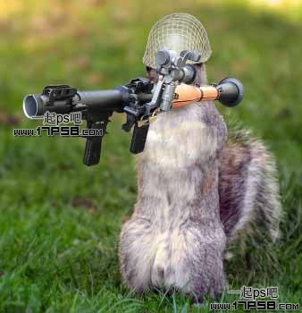 Photoshop合成可愛的武裝松鼠戰士圖片