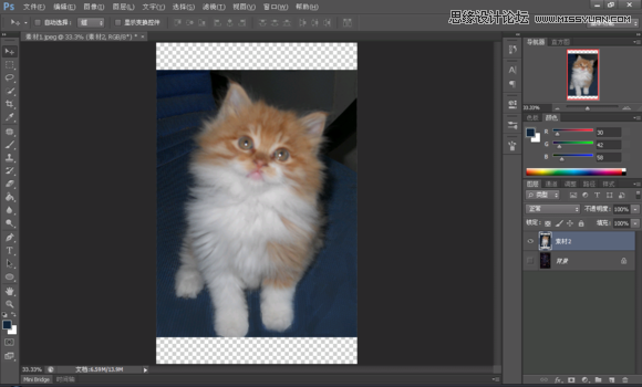 使用Photoshop合成創意的星空裝飾的貓咪圖片