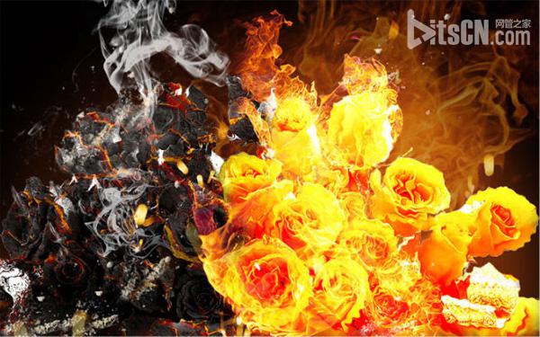 Photoshop合成制作烈焰中燃燒的火玫瑰效果   三聯
