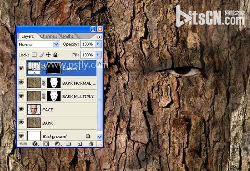 PS合成恐怖效果的樹皮人臉效果教程
