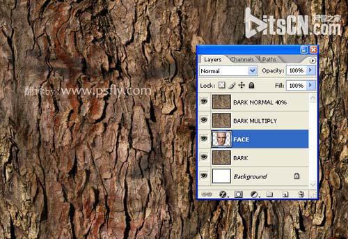PS合成恐怖效果的樹皮人臉效果教程
