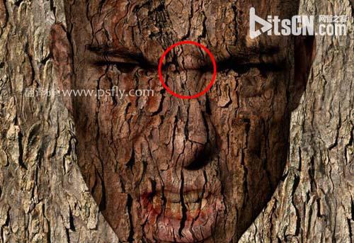 PS合成恐怖效果的樹皮人臉效果教程