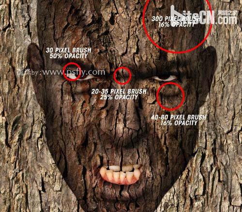 PS合成恐怖效果的樹皮人臉效果教程
