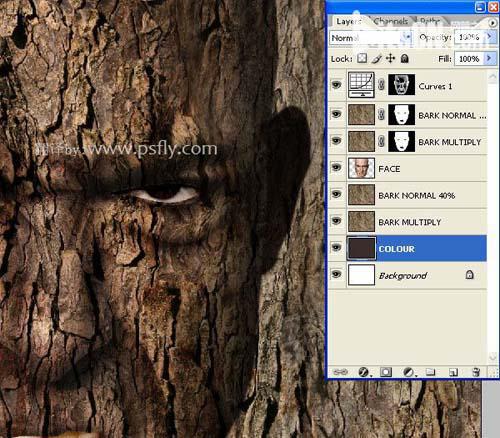 PS合成恐怖效果的樹皮人臉效果教程