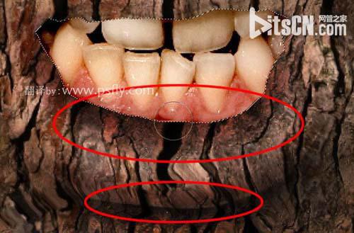 PS合成恐怖效果的樹皮人臉效果教程