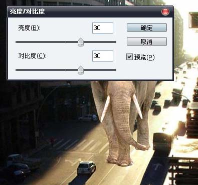 PS合成大象漫步行走在城市道路上的圖片特效