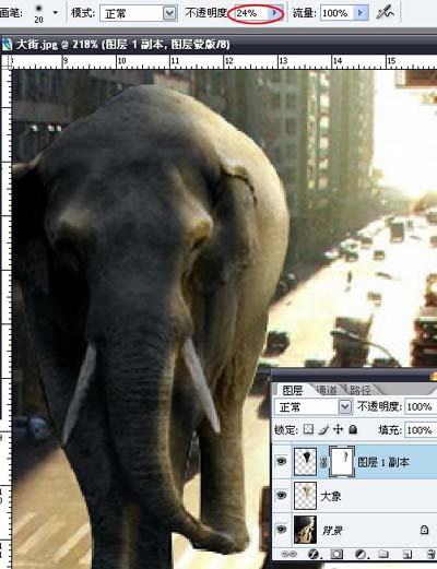 PS合成大象漫步行走在城市道路上的圖片特效