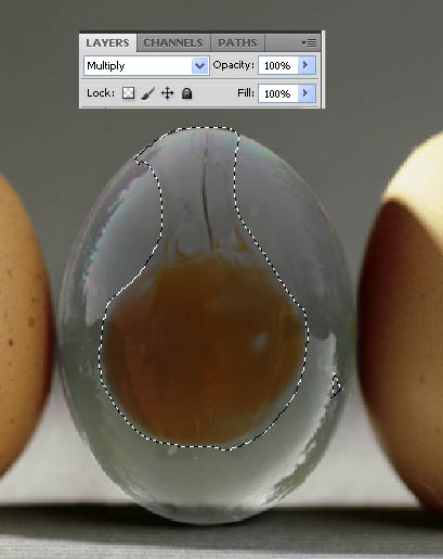 2012082220485056 在Photoshop中合成逼真的透明雞蛋