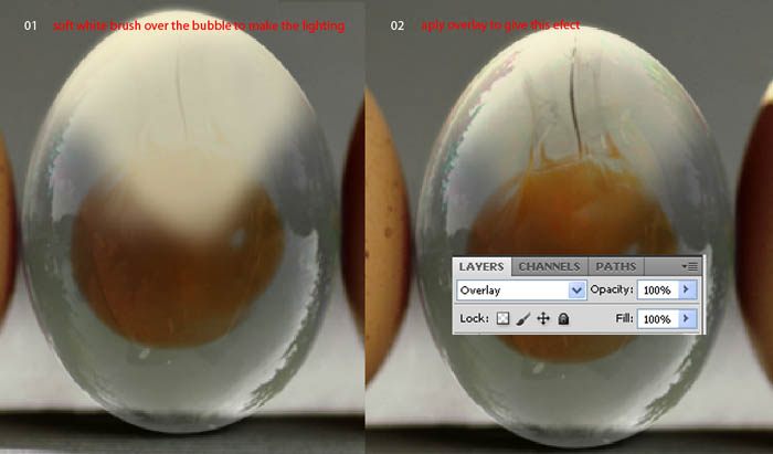 2012082220485073 在Photoshop中合成逼真的透明雞蛋