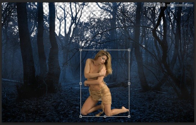 Photoshop合成森林中北樹妖圍困的仙子,PS教程,思緣教程網