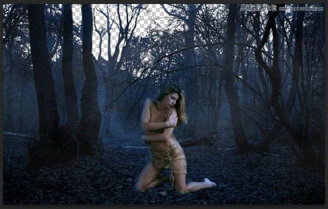 Photoshop合成森林中北樹妖圍困的仙子,PS教程,思緣教程網