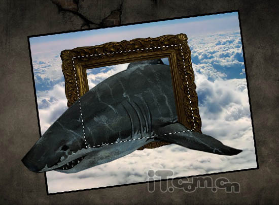 PS合成3D畫:從相框當中沖出的鲨魚照片